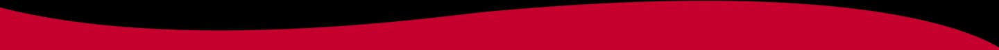 Decorative wave in footer