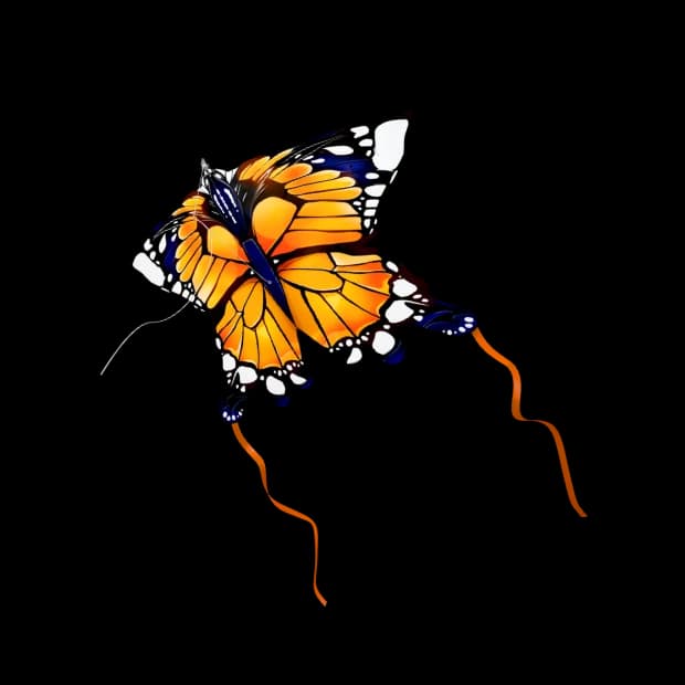Orange Butterfly