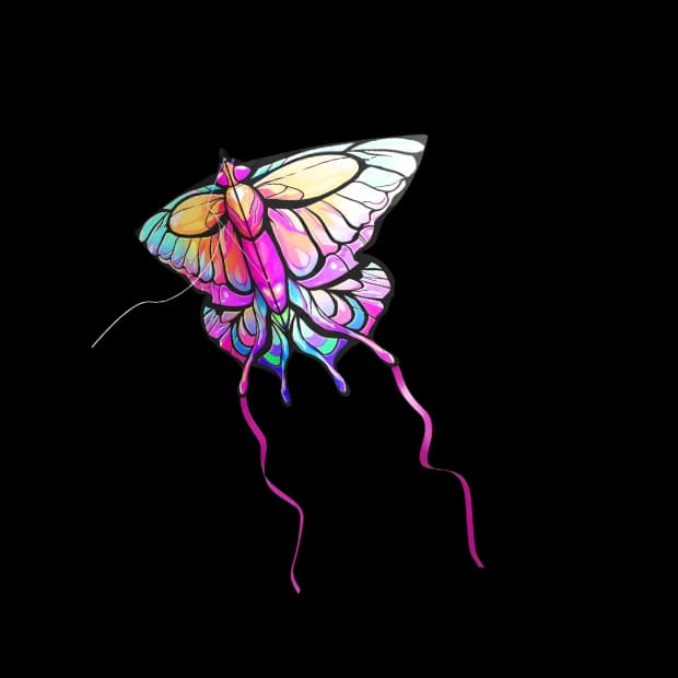 Pink Butterfly