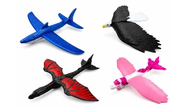 FLY WILD Image