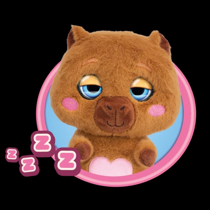 Slide 5