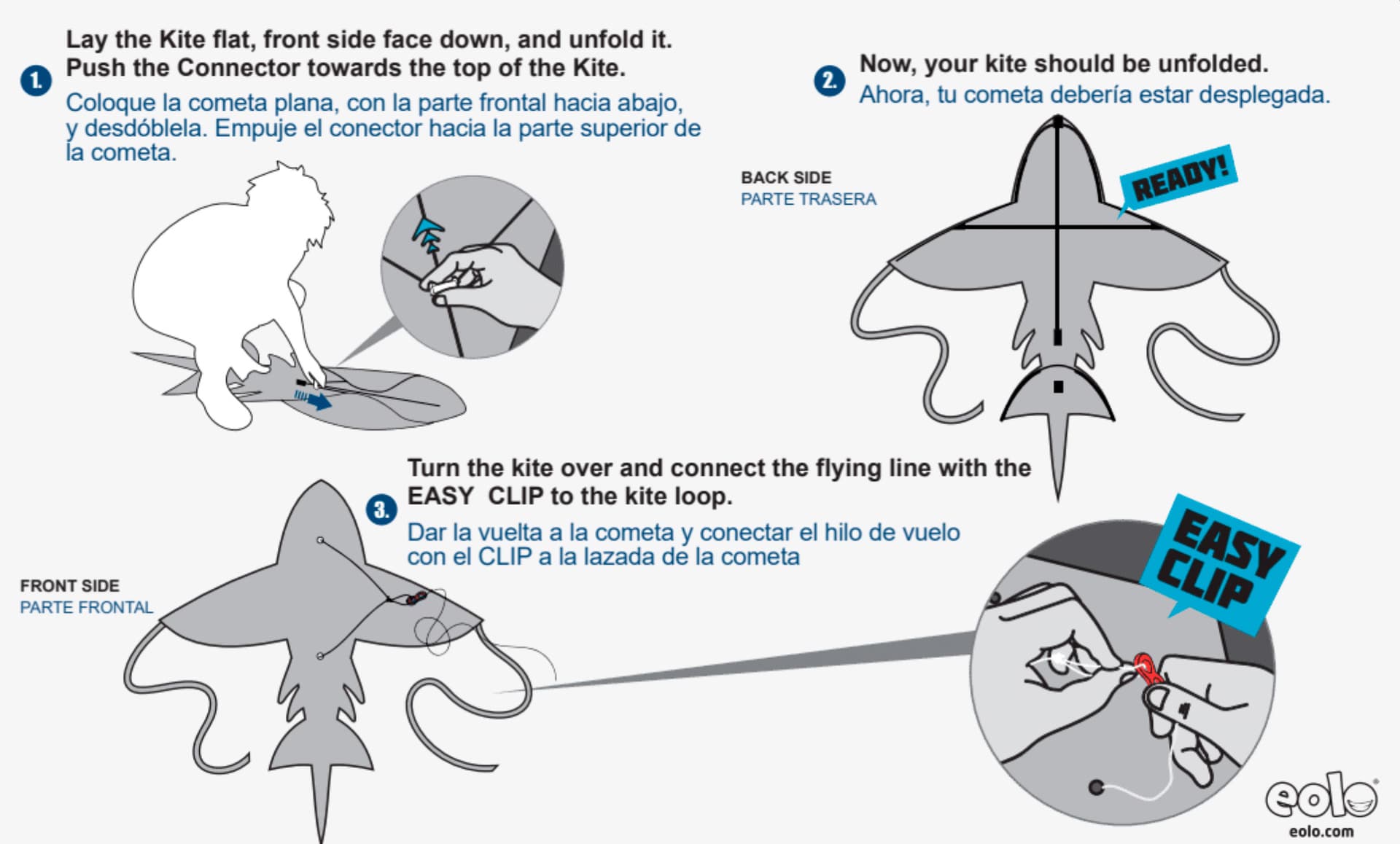 Shark Image