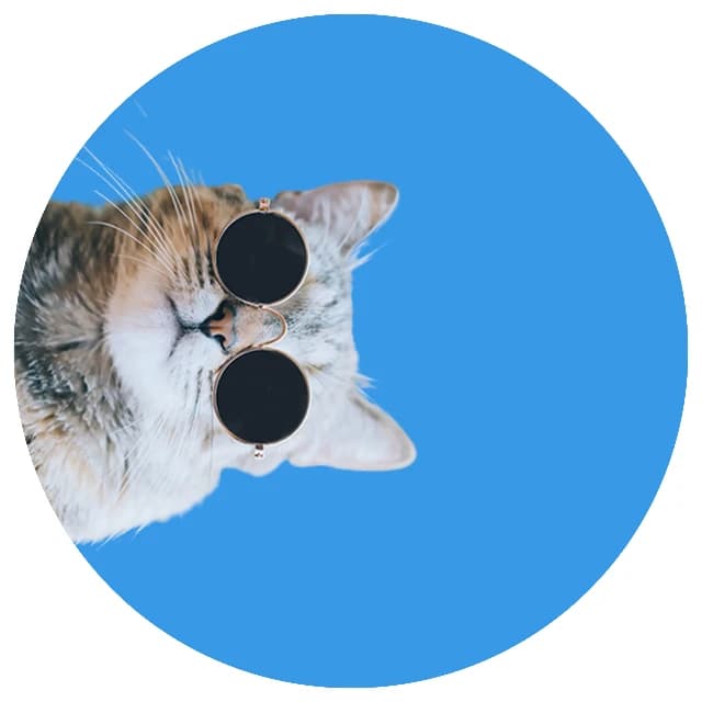 Wicked Pets image 1
