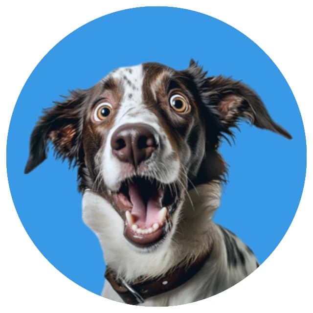 Wicked Pets image 2