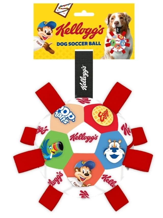ROLL INTO PLAY Image