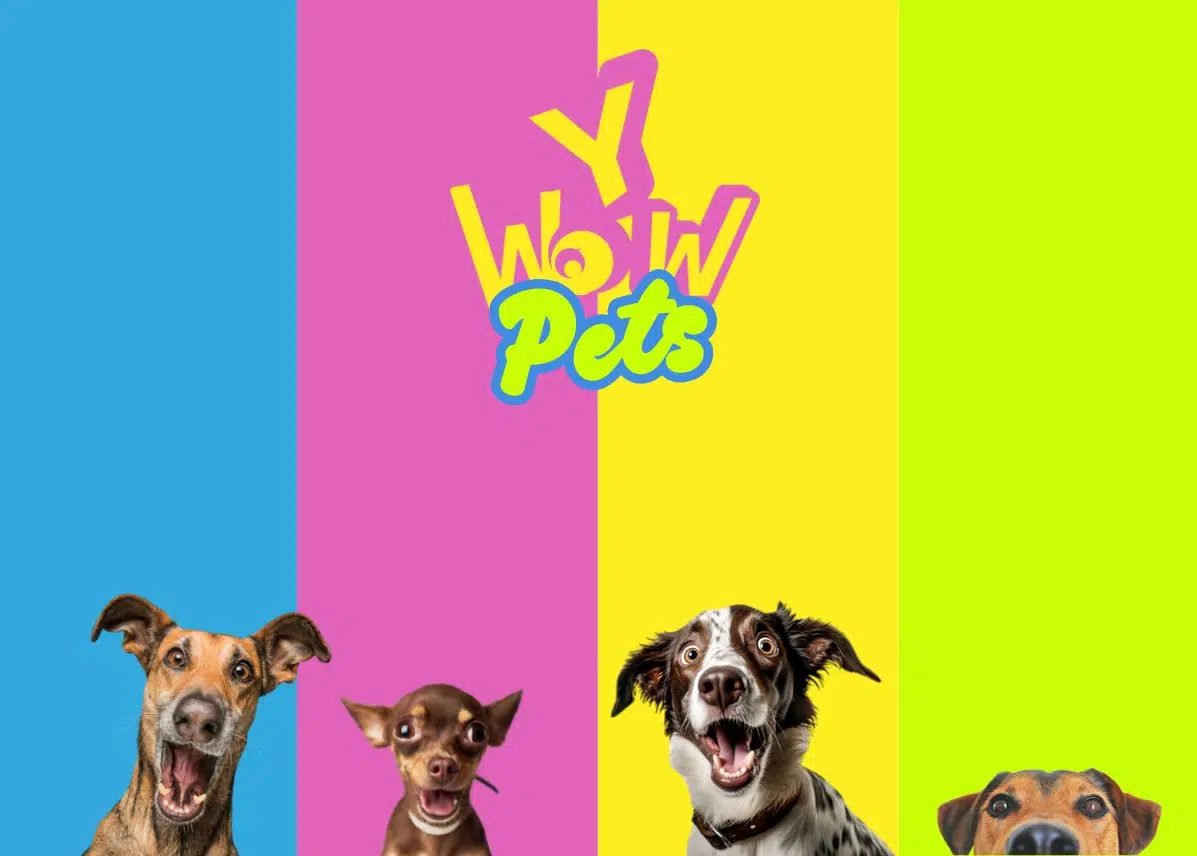 News: 🐾 Zoomark is just around the corner — and we’re ready to make some noise!
